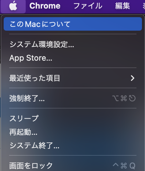 上部アップルメニューから「このMacについて」をクリック