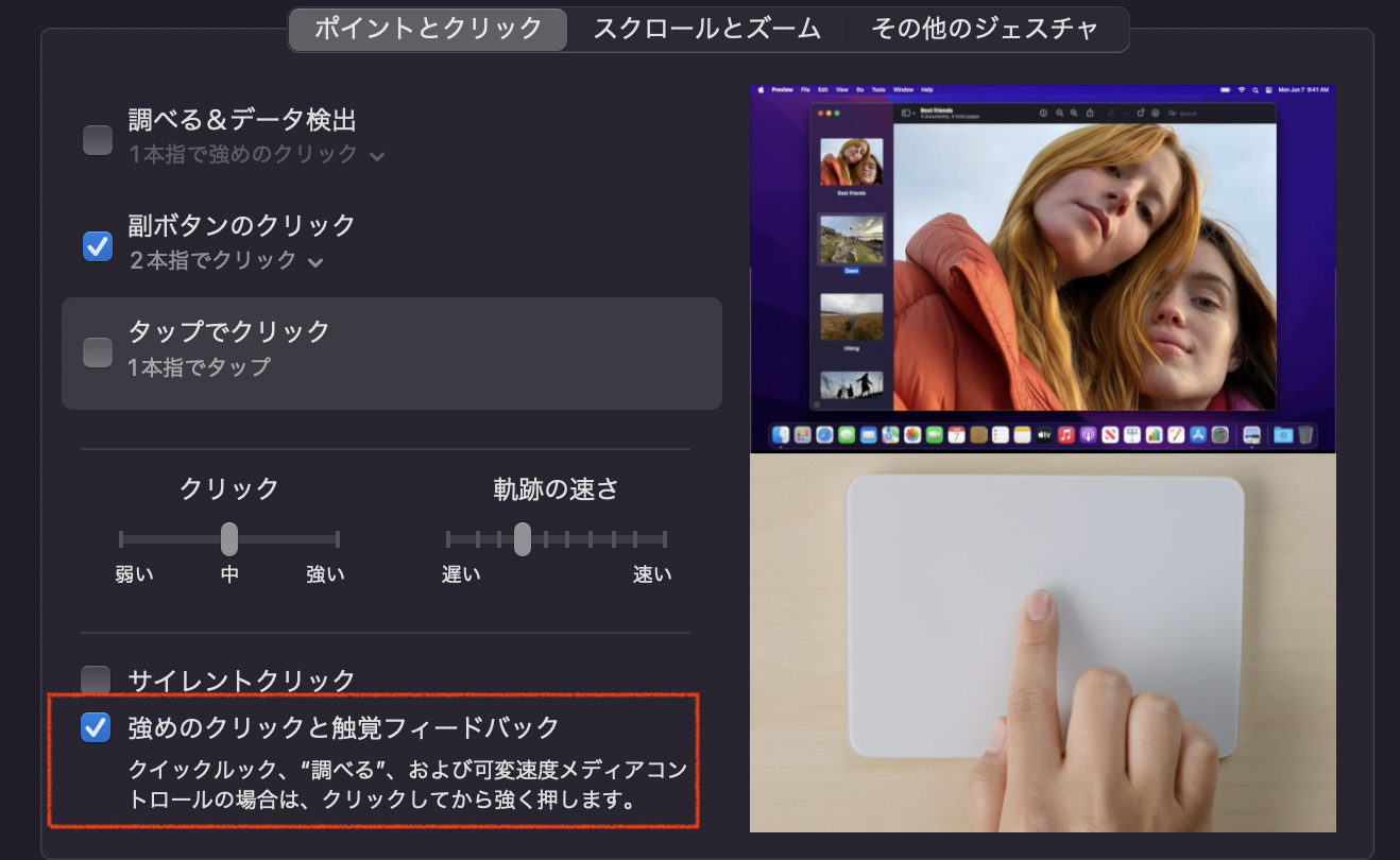 「ポイントとクリック」タブから「強めのクリックと触覚フィードバック」のチェックを外す